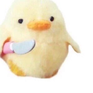 Meet your Posher, Alison